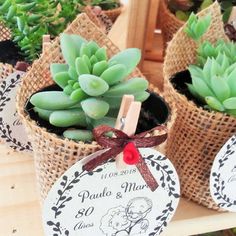 small succulents in burlap bags with labels on them