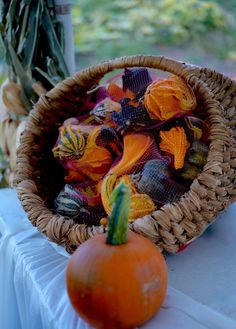 Today we are sharing 5 beautiful fall decor trends for 2023 and ways you can incorporate them throughout your home for a trendy, upscale autumn season. Fall Decor 2023, Sweater Pumpkins, Decor 2023, Faux Pumpkins, Front Door Signs, Decor Trends, 70s Retro, Autumn Season, Eclectic Home