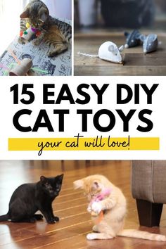 cats playing with toys on the floor and text that reads 15 easy diy cat toys your cat will love