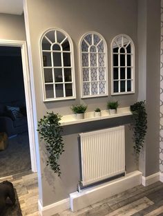 an empty room with three windows and two plants on the shelf in front of it