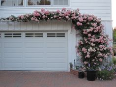 a white garage with pink flowers growing over it