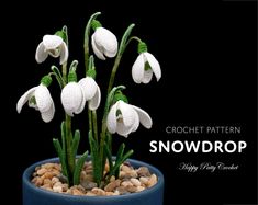 some white flowers are sitting in a blue pot with rocks on the bottom and green stems growing out of it