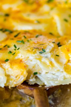 a casserole dish with cheese and potatoes