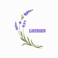 lavender flowers with the word lavender written on it