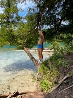 a woman standing on top of a tree next to the ocean with her arms in the air