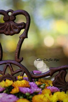 a close up of a metal bicycle with flowers in the front and yellow daisies on the back