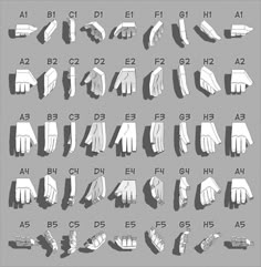 an illustrated set of different types of gloves