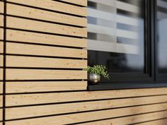 a small potted plant sitting on top of a window sill next to a wooden wall