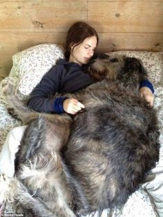 a woman laying in bed next to a large dog