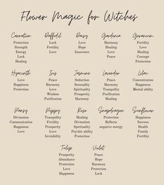 Witchy Flower Meanings, Protection Flowers Witchcraft, Flowers For Witchcraft, Gardenia Witchcraft, Flower Correspondences Witchcraft, Dried Flowers Witchcraft Meaning, Dried Flowers Witchcraft, Flowers Used In Witchcraft, Dried Flowers For Spells