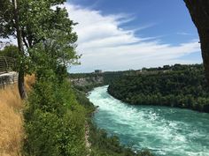 a river flowing through a lush green forest