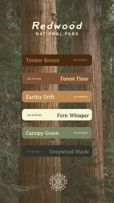 the redwood tree has many different colors and sizes, including brown, green, red, blue