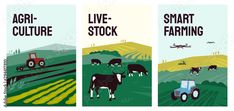 three vertical banners with farm animals and tractor on the field in different stages of development