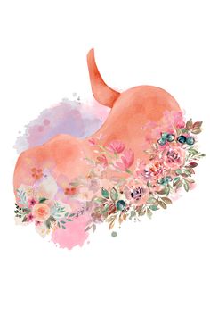 a watercolor painting of an orange cat laying on its back with flowers around it