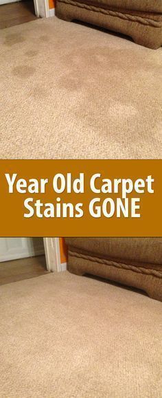 two couches with the words year old carpet stains gone