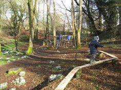 children playing in the woods on a sunny day