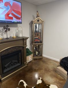 two dogs laying on the floor in front of a fireplace with a flat screen tv above it