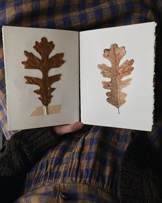 an open book with two different types of leaves on the pages and one is brown