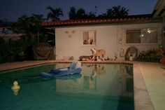 a dog standing on the edge of a swimming pool in front of a house at night