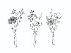 four different flowers are drawn in black and white on a white background, each with one single flower