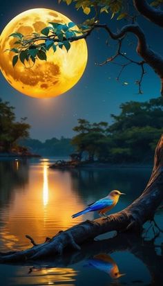 a bird perched on a tree branch in front of a full moon over water with trees