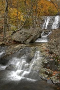 a small waterfall in the middle of a forest with rocks and fall leaves around it