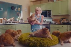 a woman standing in a kitchen surrounded by cats