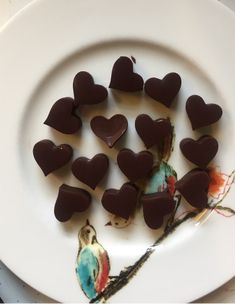 chocolate hearts arranged on a white plate next to a small bird figurine and twig