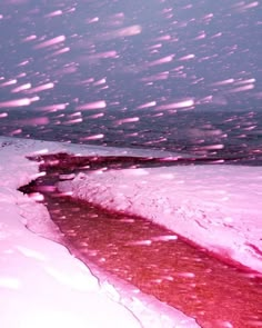 the snow is falling down on the ground and water in the foreground, with bright pink light coming from above