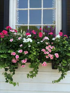 pink and white petunias in a window box