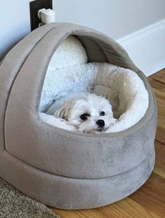 a small white dog laying in its bed on the floor