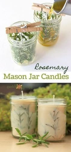 two mason jar candles with rosemary in them and the words rosemary on each candle holder