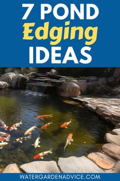 garden pond with stone edging Pond Surround Ideas, Pond Edge Ideas, Pond Backyard, Koi Pond Backyard, Ponds Ideas, Plastic Pond, Pond Rocks