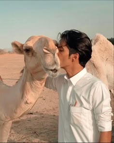 a man kissing a camel in the desert