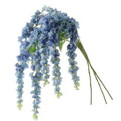 the blue flowers are hanging from the stems