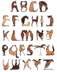 an image of horses that are in different positions and sizes on a white background with the letters