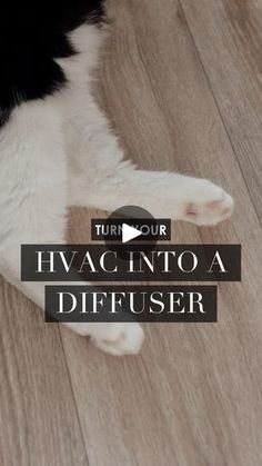 a black and white cat laying on top of a wooden floor with the words hvacc into a diffuser