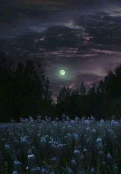 the full moon is setting over a field with blue flowers and trees in the foreground