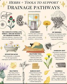 Herbal Education, Magic Herbs, Herbal Apothecary, Natural Healing Remedies, Herbal Healing, Home Health Remedies, Herbal Magic, Herbs For Health