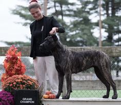 a woman standing next to a black dog