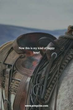 a close up of a horse's bridle with the words now this is my kind of happy hour