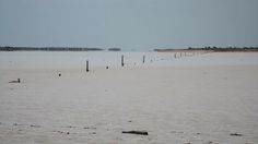 an empty beach with several posts sticking out of the water and trees in the distance