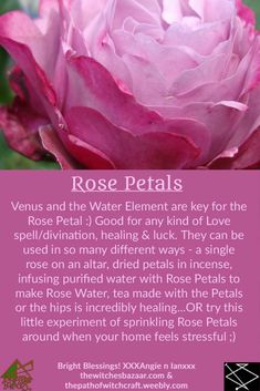 Rose Petal Uses Witchcraft, Rose Petal Uses, Love Witchcraft, Course Landing Page, Flower Of Love, Magickal Herbs, Witch Herbs, Rose Love