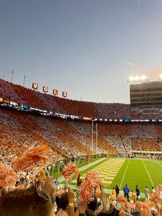 a football stadium filled with lots of people