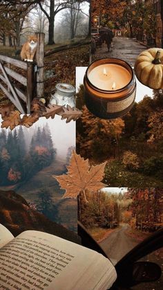 an open book sitting on top of a wooden table next to a forest filled with trees