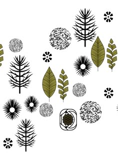 an image of various trees and plants in black and white colors on a white background