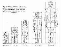 a diagram showing the size and height of a man's body in different positions