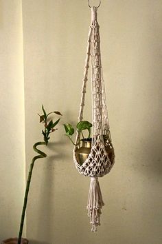 a hanging plant holder with a potted plant in it