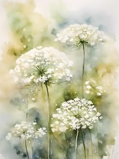 watercolor painting of white flowers with green and yellow background