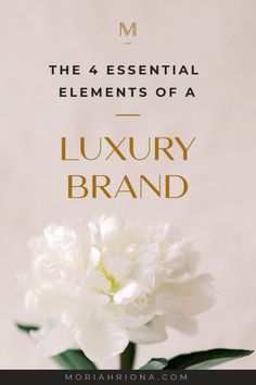 the four essential elements of a luxury brand cover image with white carnation in vase